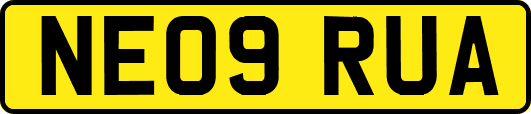 NE09RUA