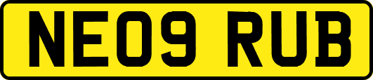 NE09RUB