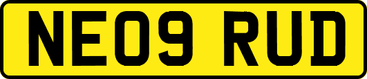 NE09RUD