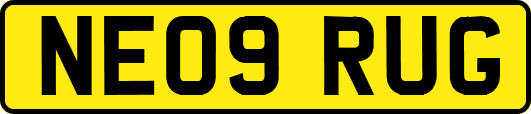 NE09RUG