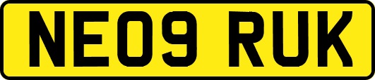 NE09RUK