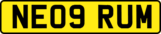 NE09RUM