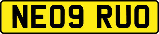 NE09RUO
