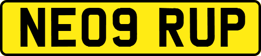NE09RUP