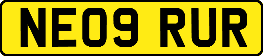 NE09RUR