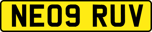 NE09RUV
