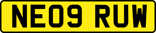 NE09RUW