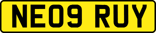 NE09RUY