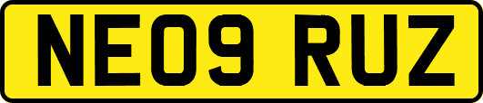 NE09RUZ