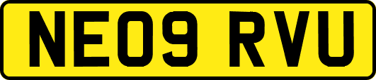 NE09RVU