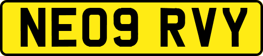 NE09RVY