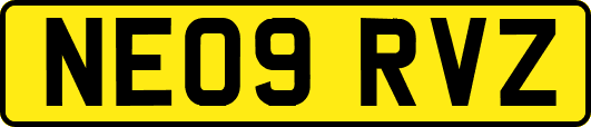 NE09RVZ