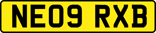 NE09RXB