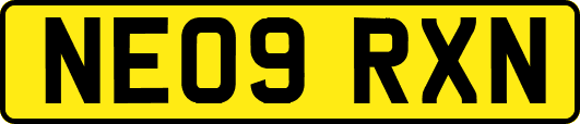 NE09RXN