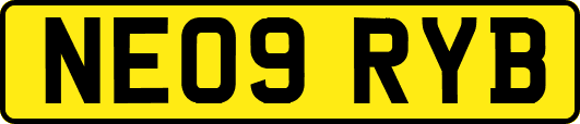 NE09RYB