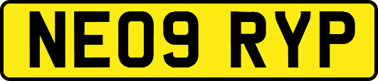 NE09RYP