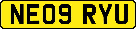 NE09RYU