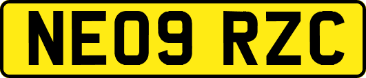 NE09RZC