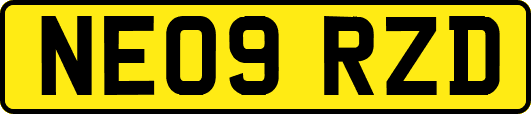 NE09RZD