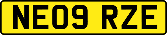 NE09RZE