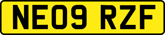 NE09RZF