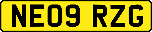 NE09RZG