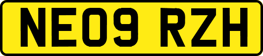 NE09RZH