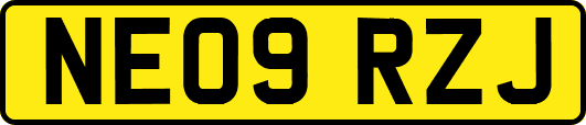 NE09RZJ