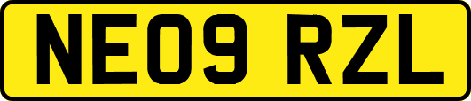 NE09RZL