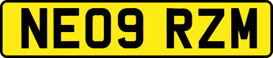 NE09RZM