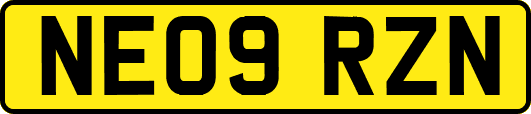 NE09RZN
