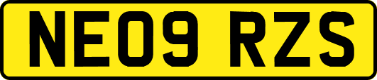 NE09RZS