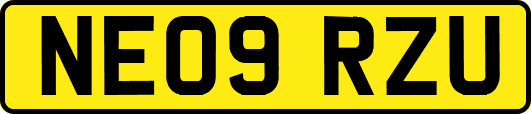 NE09RZU