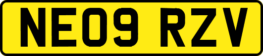 NE09RZV
