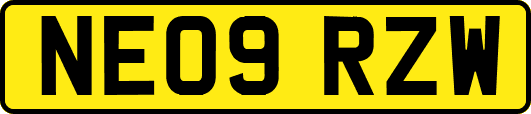 NE09RZW