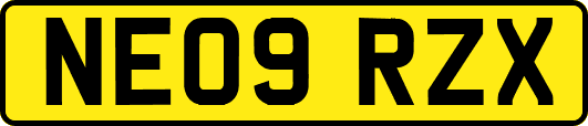 NE09RZX