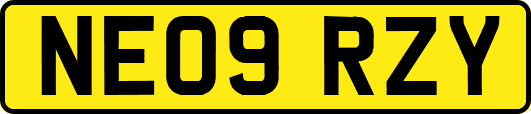NE09RZY