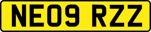 NE09RZZ