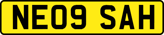 NE09SAH