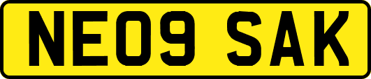 NE09SAK