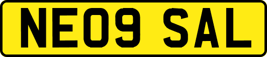 NE09SAL
