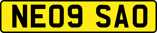 NE09SAO