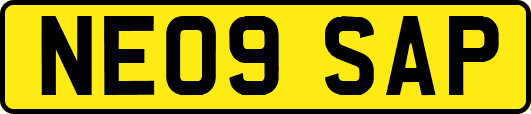 NE09SAP