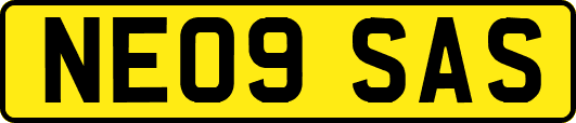 NE09SAS
