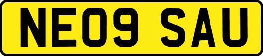 NE09SAU