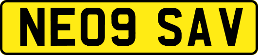 NE09SAV