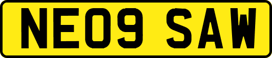 NE09SAW