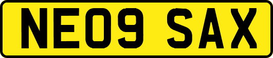 NE09SAX