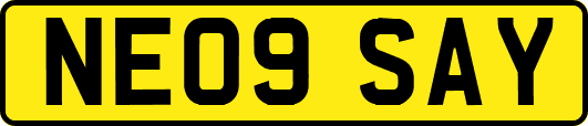 NE09SAY