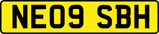 NE09SBH